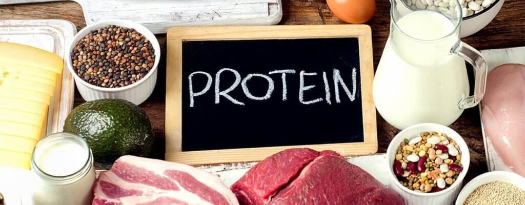 The Importance of High-Quality Protein – and How it Can Benefit You